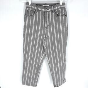 PacSun Gray Double Stripe High Waisted Straight Leg Jeans 27